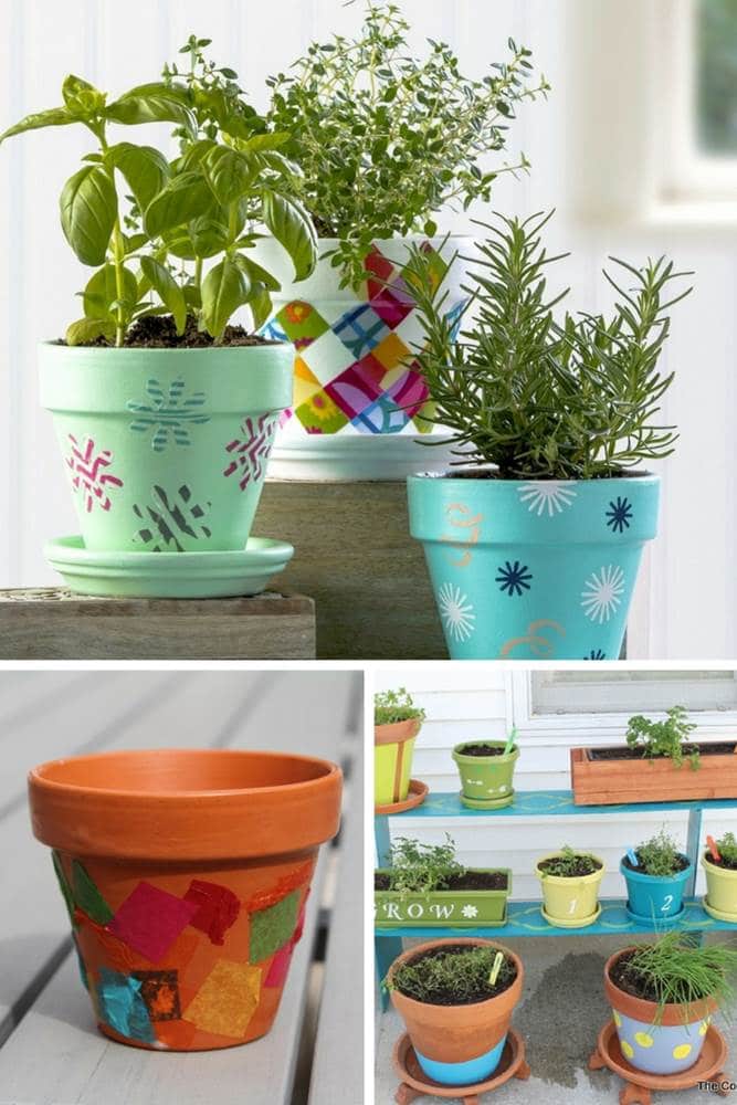 balcony vegetable garden