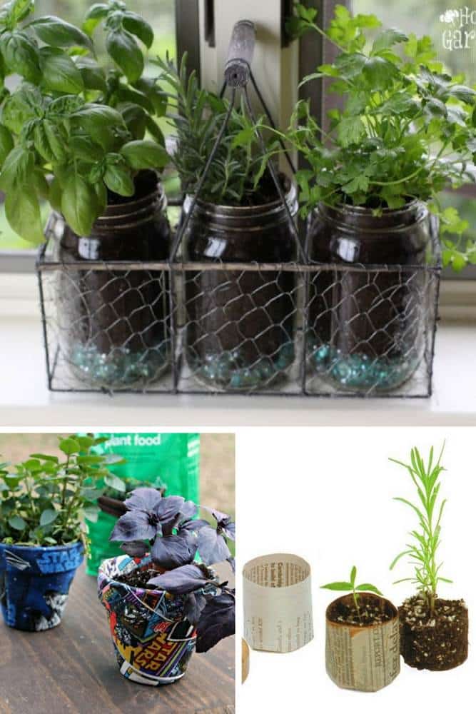 container garden plans