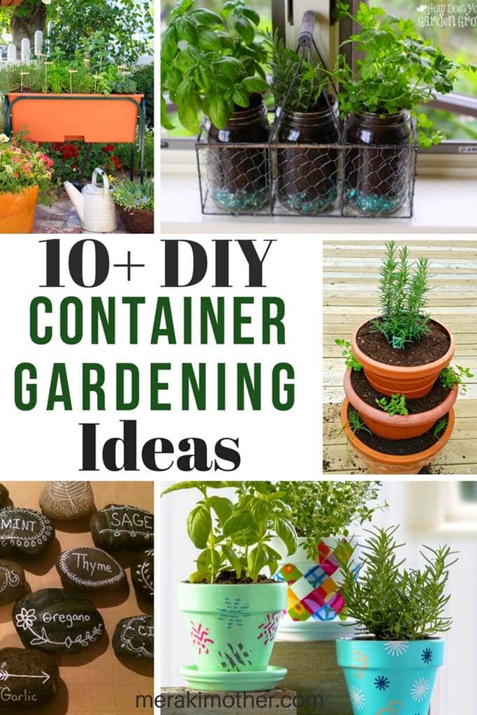indoor container gardening
