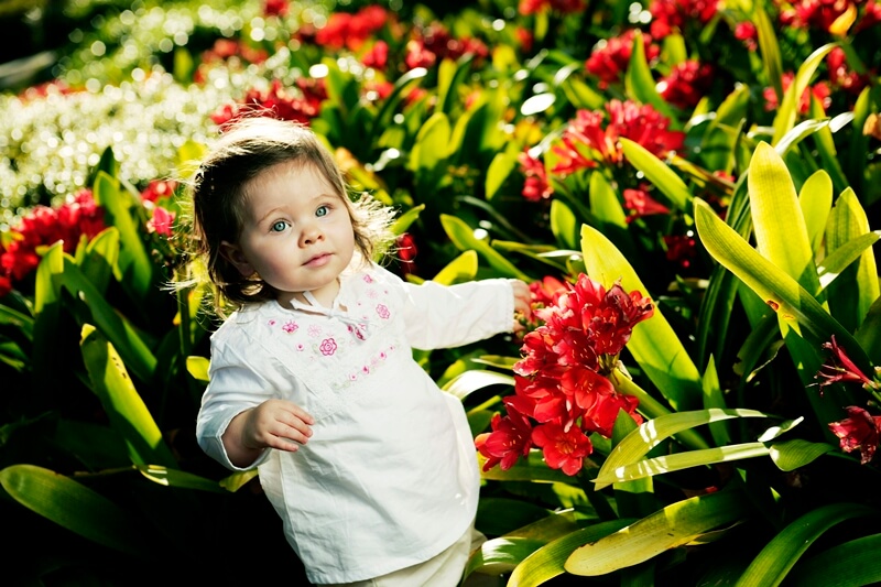 30+ of the Cutest Toddler Photoshoot Ideas
