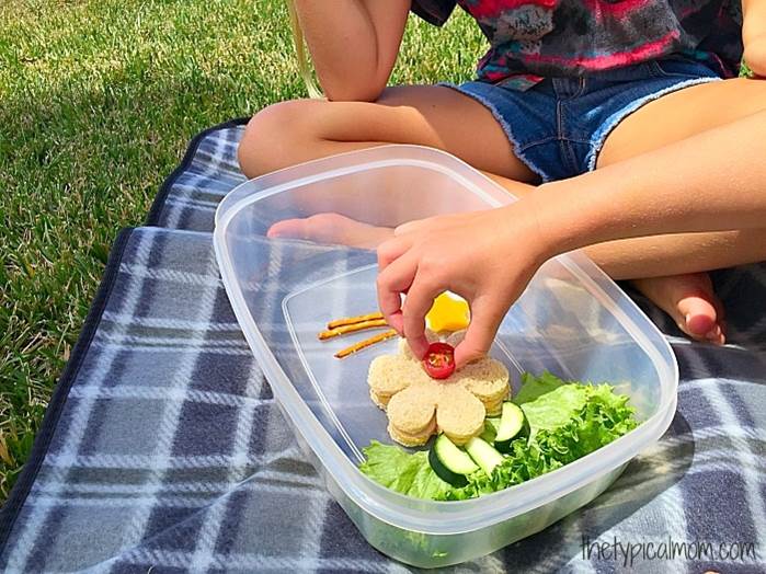 healthy lunchbox ideas for preschoolers