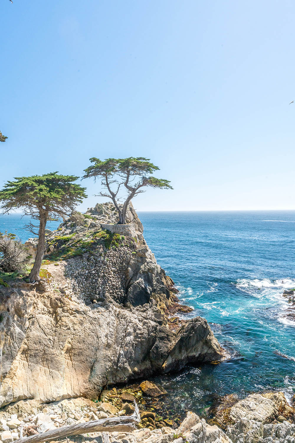 What to do in Monterey with Kids: 17 Mile Drive