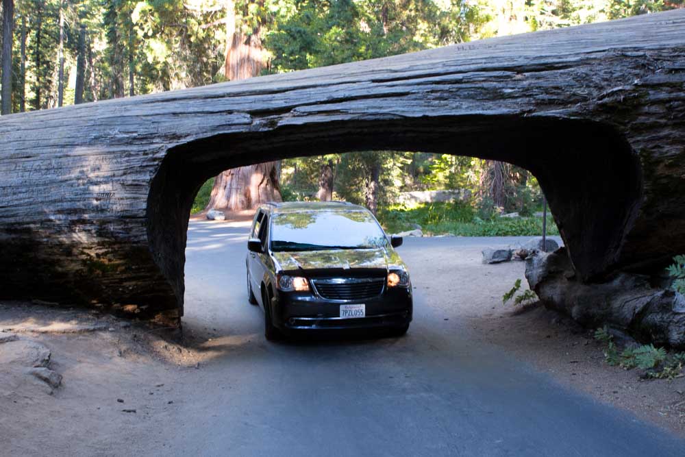 Sequoia NP With Kids Meraki Mother