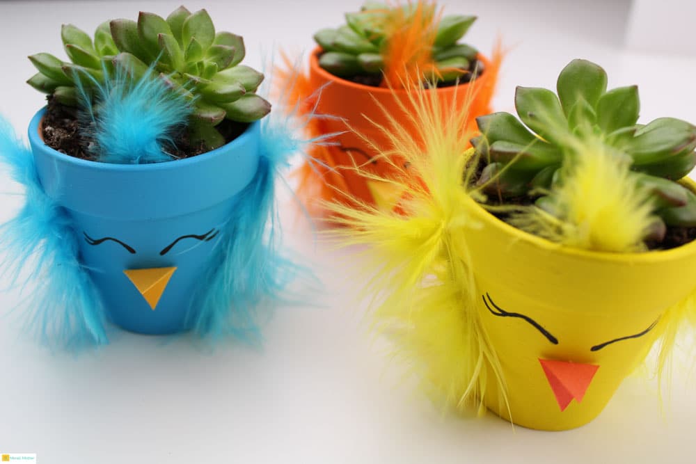 Spring Chick Succulent Planters Meraki Mother