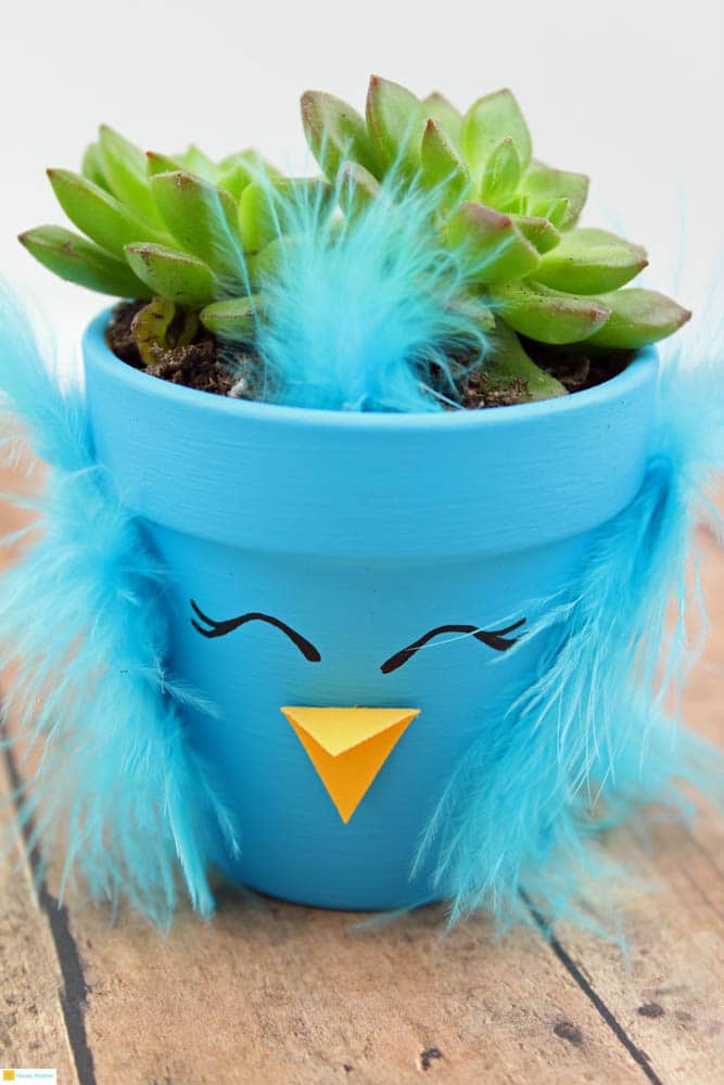 Spring Chick Succulent Planters Meraki Mother Craft for kids