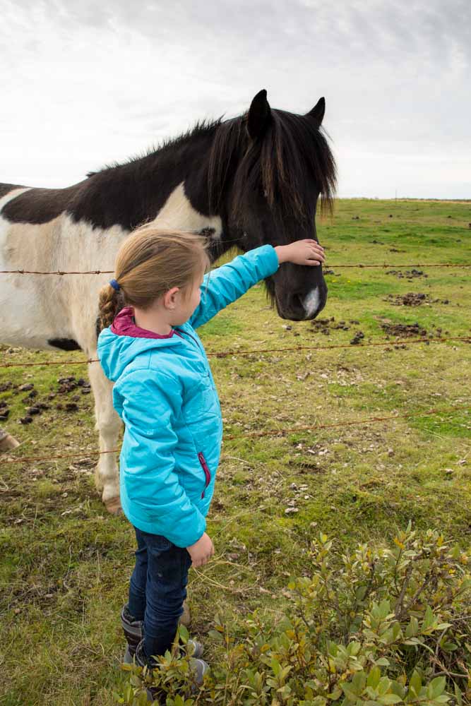 Things to do in Iceland with kids