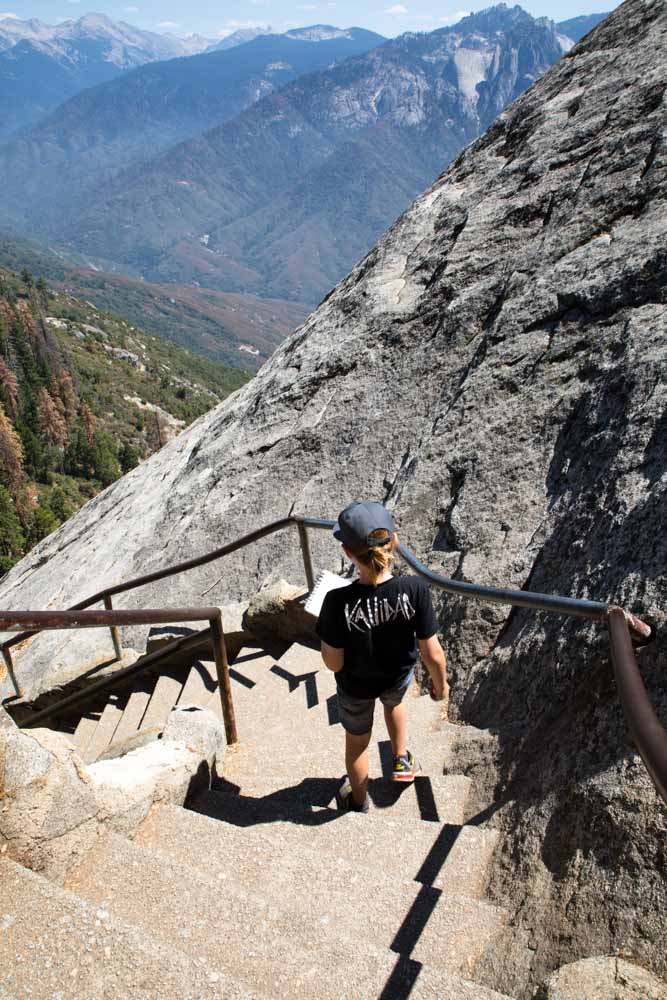 Sequoia NP With Kids Meraki Mother 