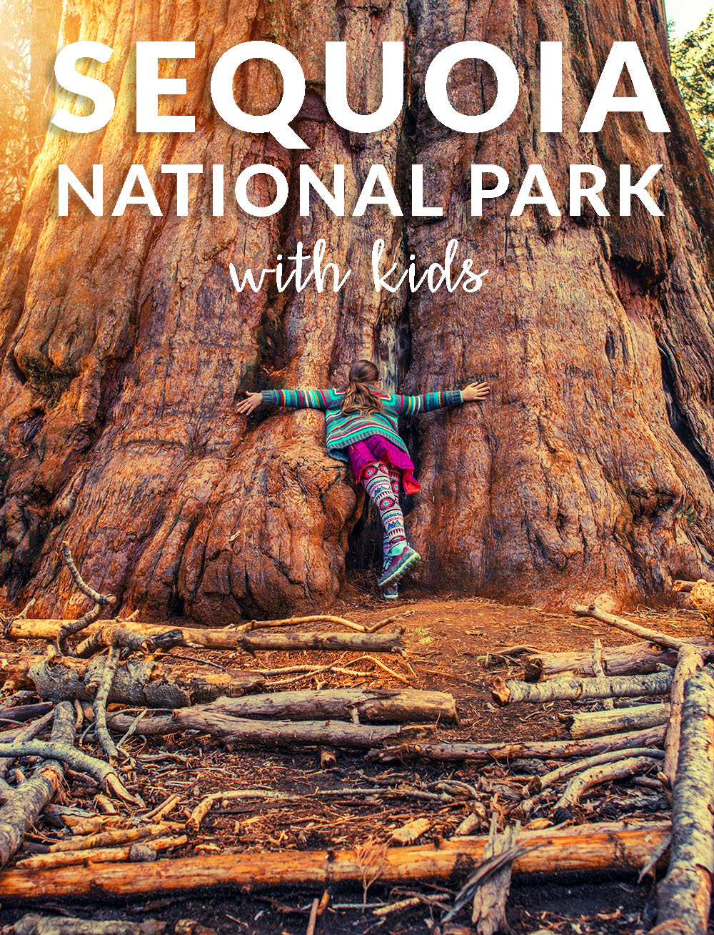 Sequoia national park with kids