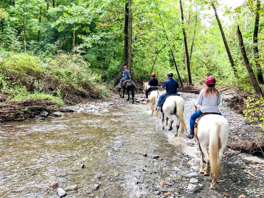 Horse riding in New York 