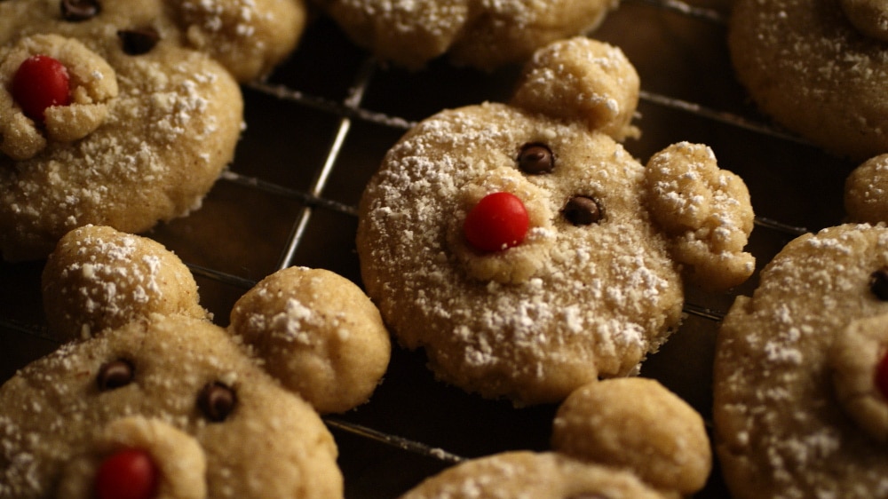 Bear christmas cookie designs