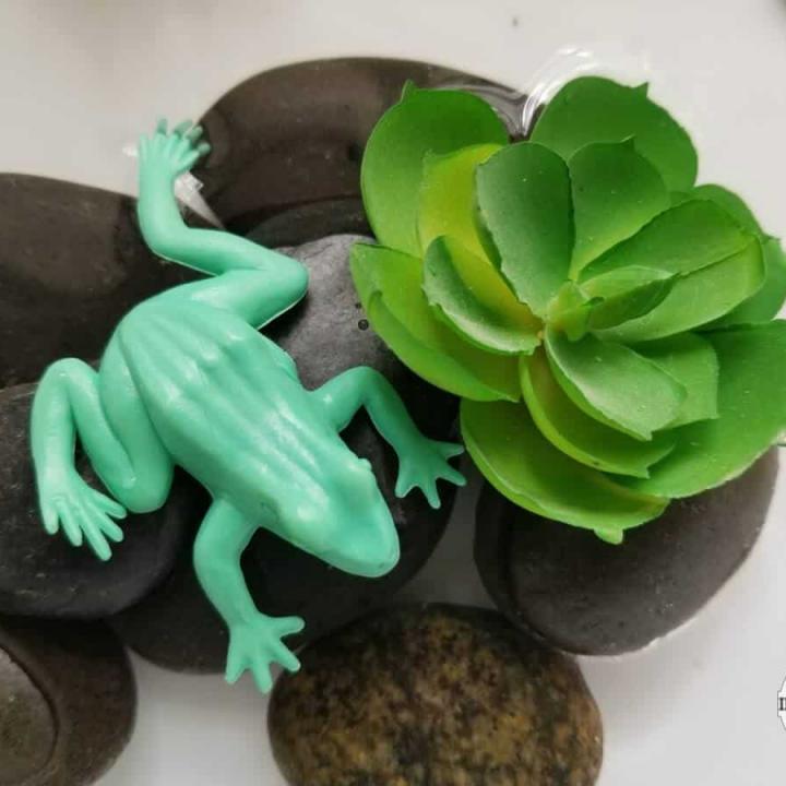 Image for Frog Sensory Bin Preschool Activity