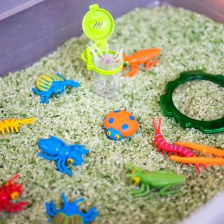 Image for Bug Sensory Bin