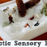 Image for Arctic Sensory Bin