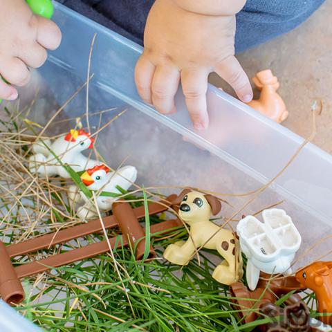 Image for Farm Animal Sensory Table with Real Grass