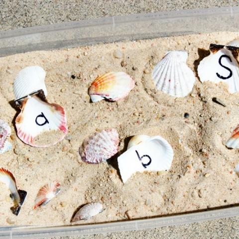 Image for Letter Matching Seashell Sensory Bin for Preschool