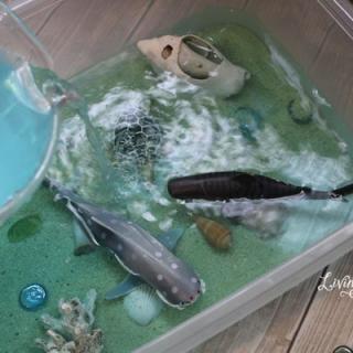 sensory box