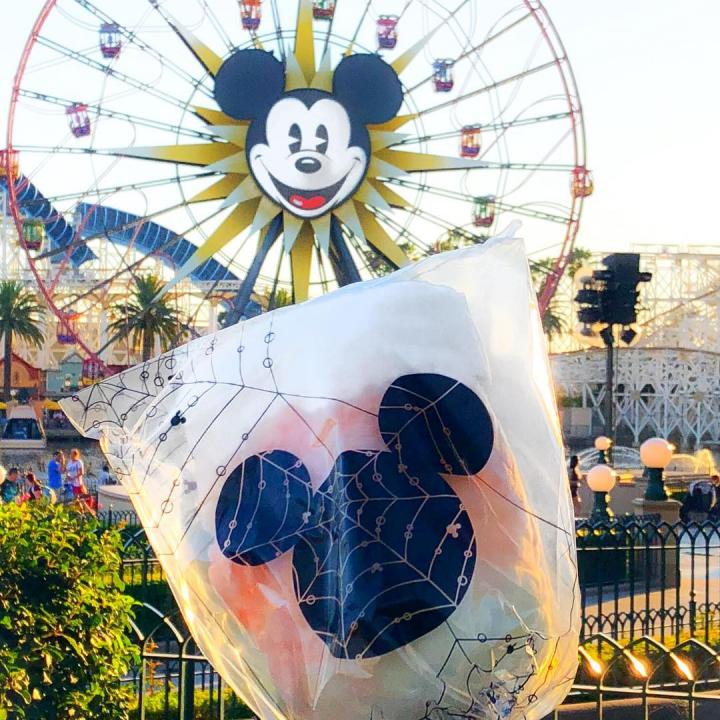 Image for Fall Disney Treat