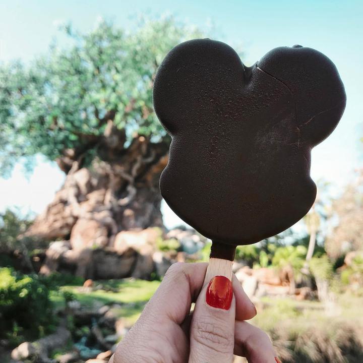 Image for Mickey Bars